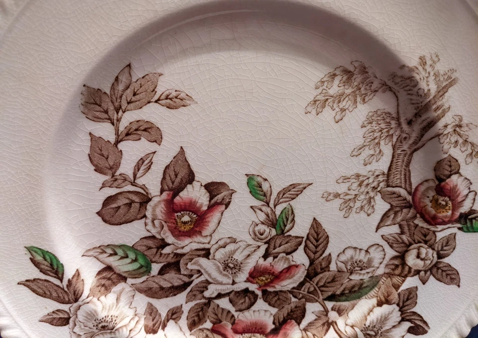 Platos de cena, (4), Johnson Brothers, Inglaterra, boquetas elegantes, impresionantes Foto 3 de 4