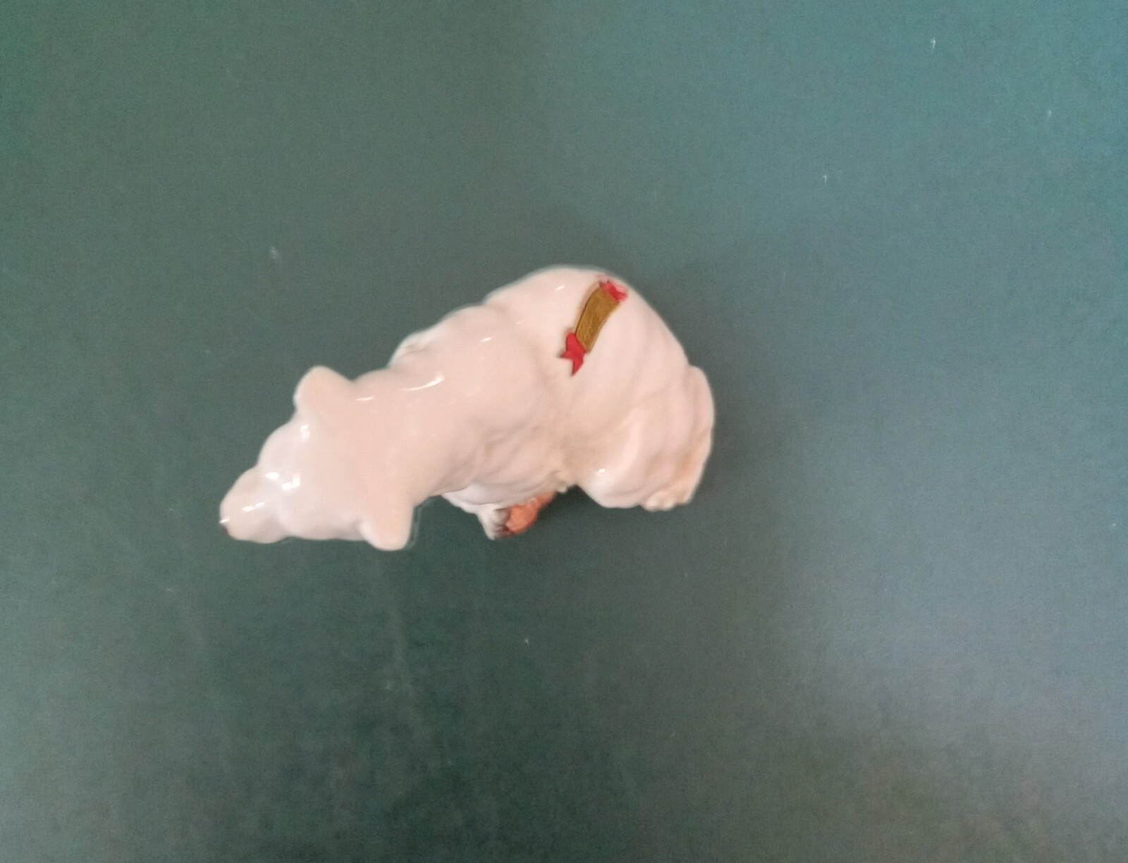 Foto 5 di 6