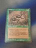 Thallid (Spencer) - Fallen Empires Magic the Gathering MTG Single Card