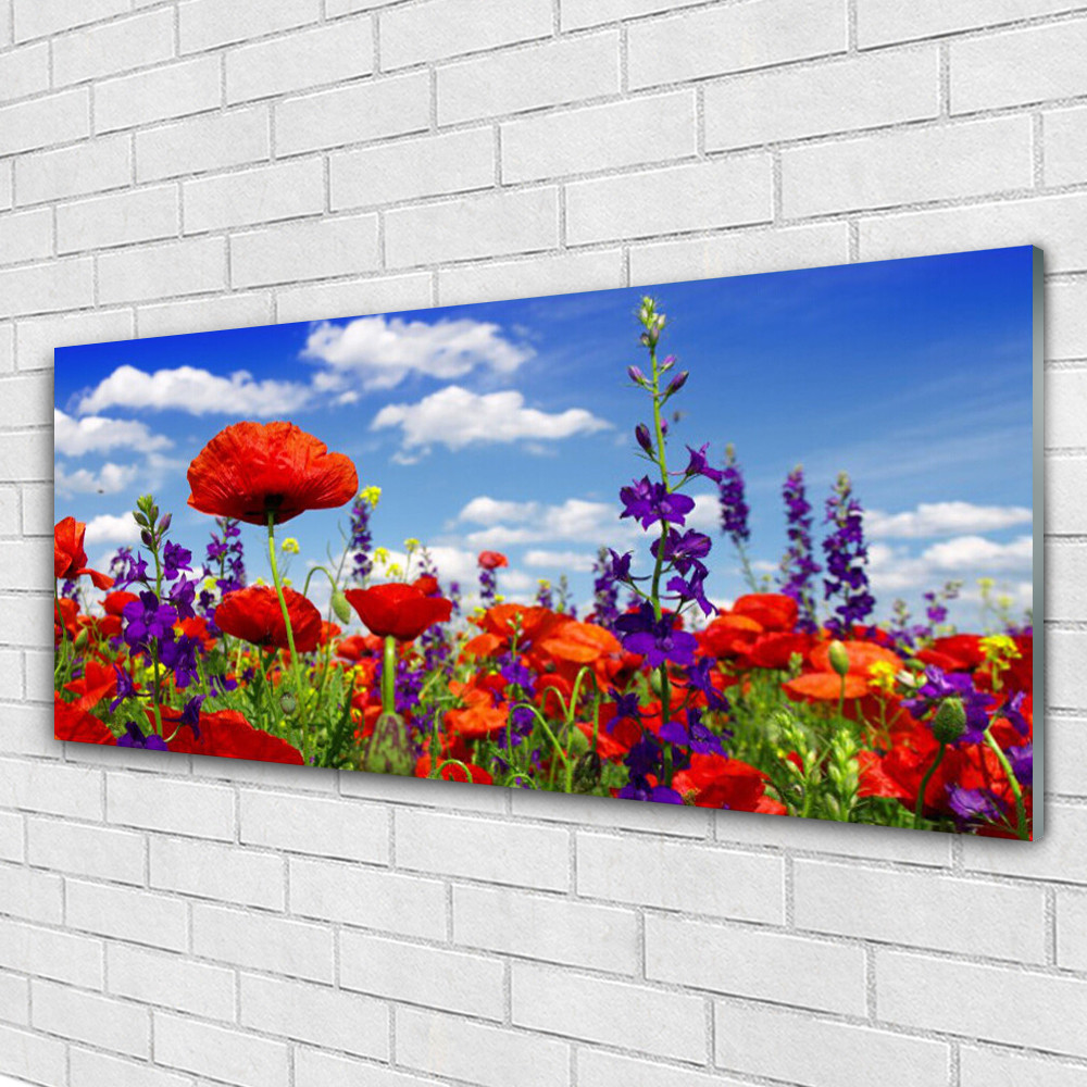 Tableau plexiglas 125x50 décor mural moderne fleur de tulipe