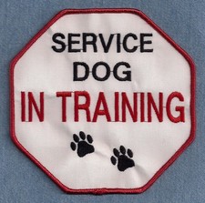 SERVICE DOG IN TRAINING - service dog vest patch