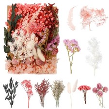 Natural Dried Flowers, Pressed Flowers Real one size, Multicolor 2 