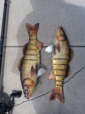 Signal Teaser [ CARP ]  Swimbait