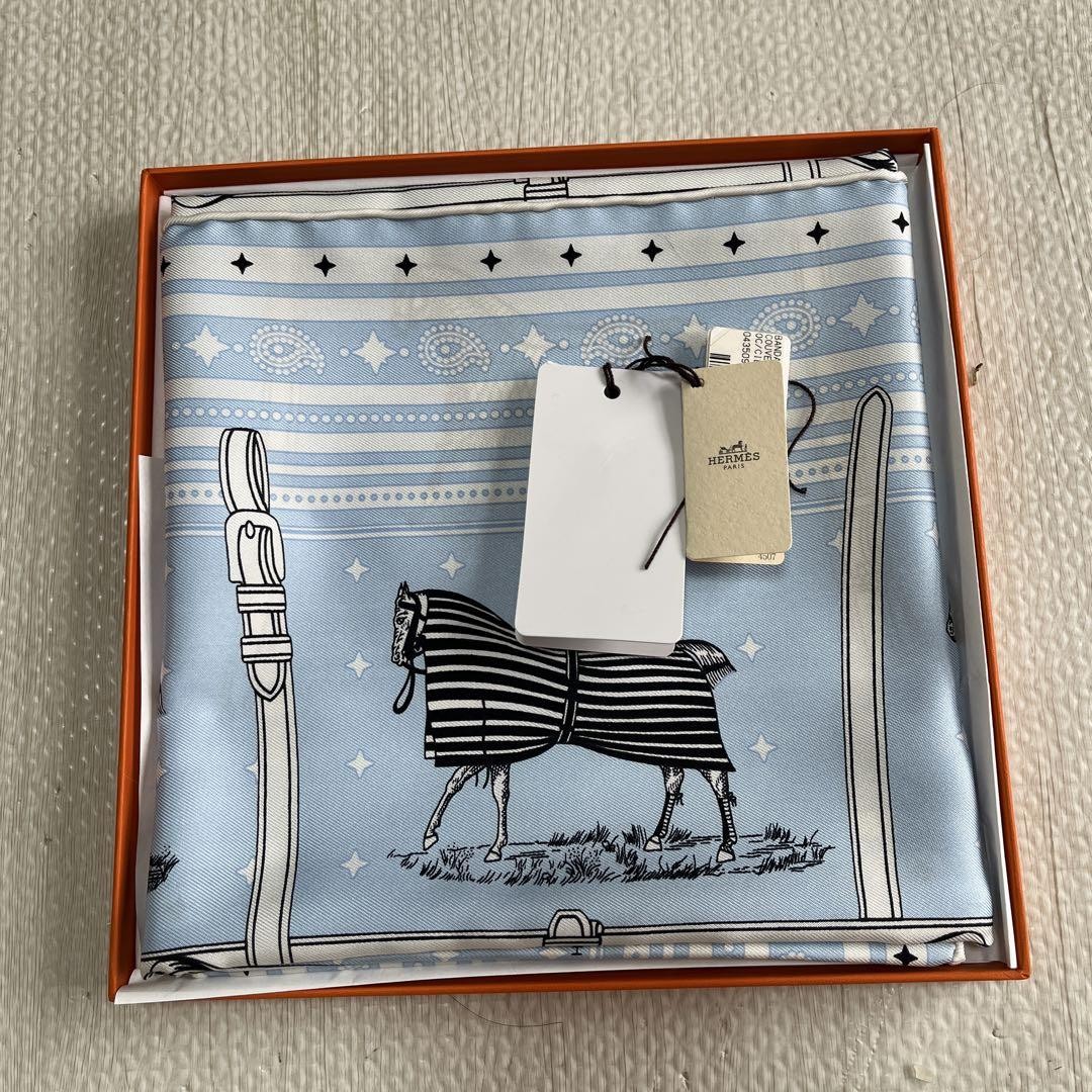 Hermes Silk Scarf 55cm Classic Luxury Fashion Accessory