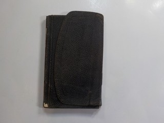 Civil War Diary 125th Ohio Volunteers Republican Meeting William McKinley Speak