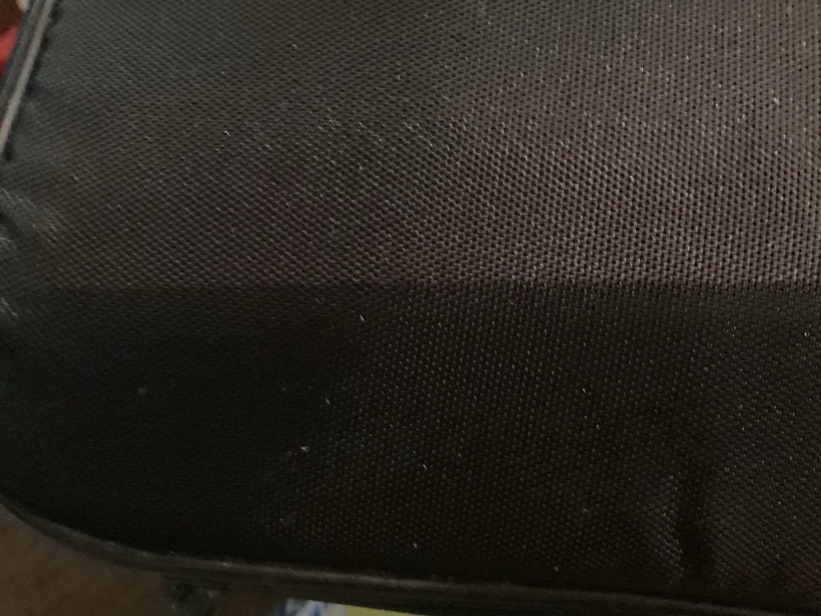 Picture 12 of 19