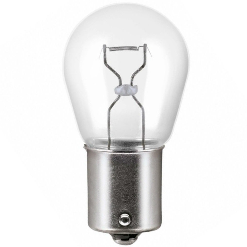 Light Bulb 100 Watt Type T