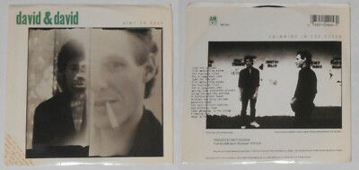 David & David - Ain't It Easy - U.S. promo 7'' vinyl