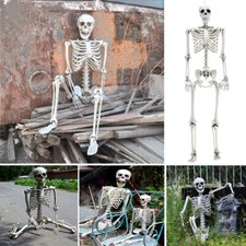 Halloween Real Life Size Human Skeleton Model Perfect Decoration Bones Decor
