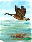 Atherton 9x12 Original Abstract loose Goose Painting "Single reflection" signed — photo 2