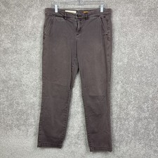 Anthropologie Pilcro Letterpress Pants Hyphen Womens Size 29 Plum
