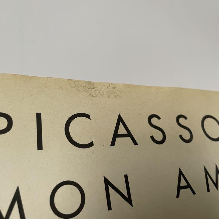 【超貴重】 PICASSO MON AMI / LUCIEN CLERGUE Picasso Mon Ami / Lucien Clergue | eBay
