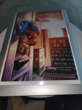 Ultimate Spider-Man #14 (Marvel Comics April 2025) Mirka Andolfo Virgin Variant