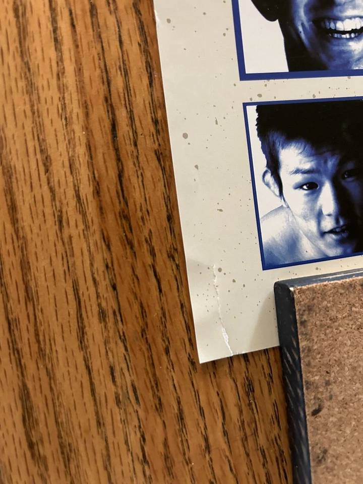 Pride Fc Fumetsu, Full Size B2, Official Poster, Pride FC, UFC signed by Ishida! - Image 3 of 4