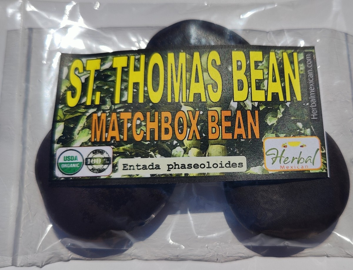 3 St Thomas Bean, box bean (Entada phaseoloides) giant bean, magic