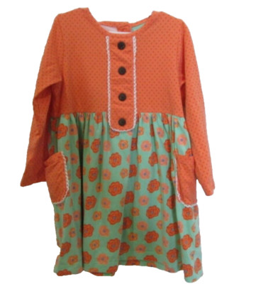 Sage and Lilly Girl s 3T Multicolored Fall Dress with Pockets