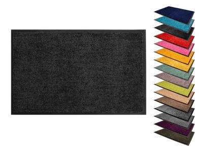 Schmutzfangmatte CLEANPRO Fußmatte Fußabtreter Waschbar Matte versch Farben&Größ - Bild 1 von 4