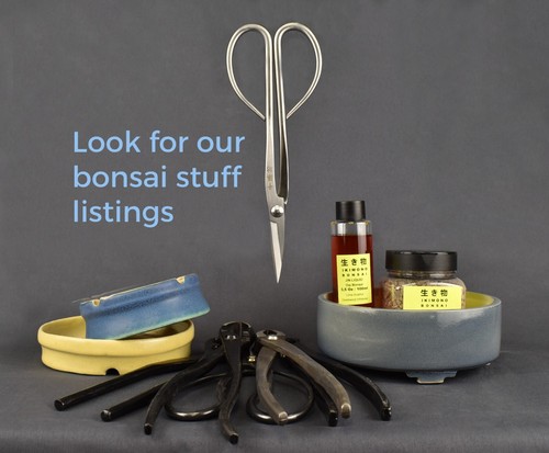 BONSAI POT. 11 x 7 x 1,16 in / 27.5 x 18 x 5,5 cm. - Picture 3 of 5