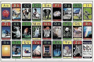 24-piece Deluxe Alphabet Cardboard Floor Puzzle for sale online | eBay