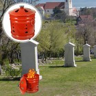 Bild 8 von 12