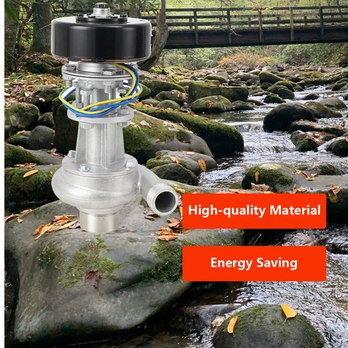 1000W Mini Eléctrico Hidroeléctrico Generador de Agua Turbina Generador de Energía Hidroeléctrica DE - Imagen 2 de 12