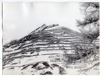1964 Switzerland Davos Is Well Protected From Avalanche Original Press Photo