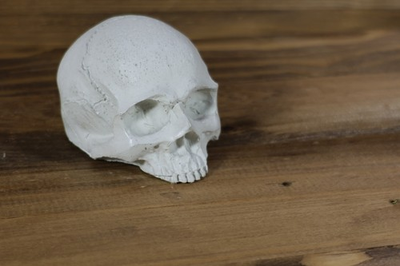 #ad Cement painting skull skeleton paperweight handmade concrete casting $19.99