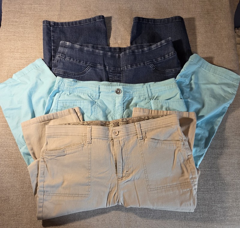 Lot of 3 pair of women's pants capris Size 14 petite Excellent condition! 