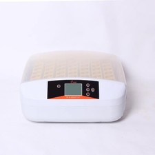 Incubator Automatic Small Household Intelligent Temperature Control Incubator