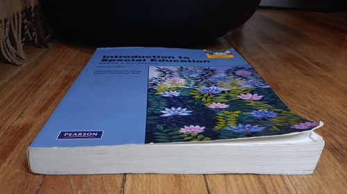 Introduction to Special Education: Making A Difference: Seventh Edition - Picture 11 of 11