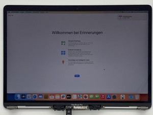 Original Display MacBook Pro 15" 2018 2019 A1990 Bildschirm LCD Screen SpaceGrau