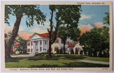 #ad Lexington KY Kentucky Calumet Farm Citation Horse Bred Here Linen Postcard D9 $9.99