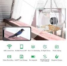 Intelligent Pet Bird Feeder For Outdoor Real-time Monitoring With High-definitio