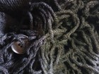 Bild 8 von 11