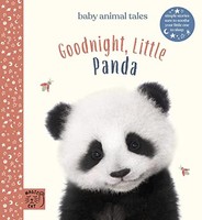 Amanda Wood - Goodnight Little Panda - Hardback - G245Z