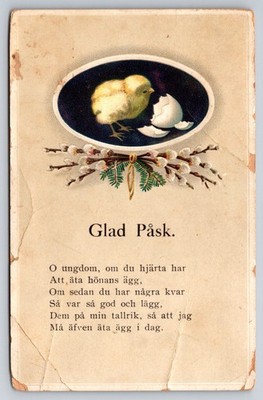 Vtg Postcard Swedish Easter Greetings Card Chick Egg Shell Illustration Unposted