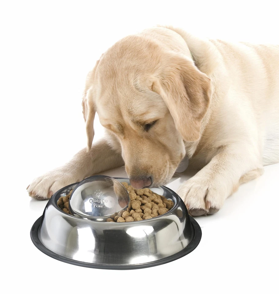 Portion Pacer, Stainless Steel, Large, 3.5 Diameter - Image 3 of 3