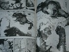 Foto 5 di 12