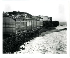 1910s SAN FRANCISCO OCEAN VIEW of SUTRO BATHS,CLIFF HOUSE&SUTRO HGTS.~8x10 PHOTO