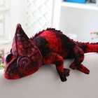 Bild 8 von 10