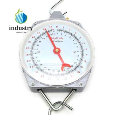 Heavy Duty Hanging Scale with Hanging Hook, Alloy Quality,100g Increments, 55lbs