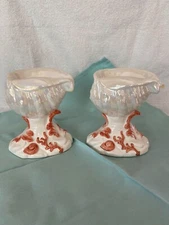 The Mane Lion - Seashell & Coral pair of candleholders - Made in Italy