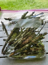 Moss And Lichen Covered Wood For Isopods, Terrariums, And Vivariums