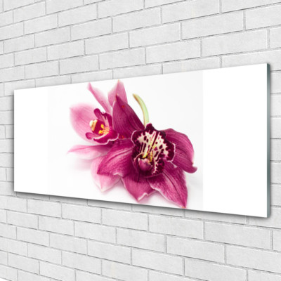 Acrylglasbilder Wandbilder aus Plexiglas  125x50 Blumen Pflanzen