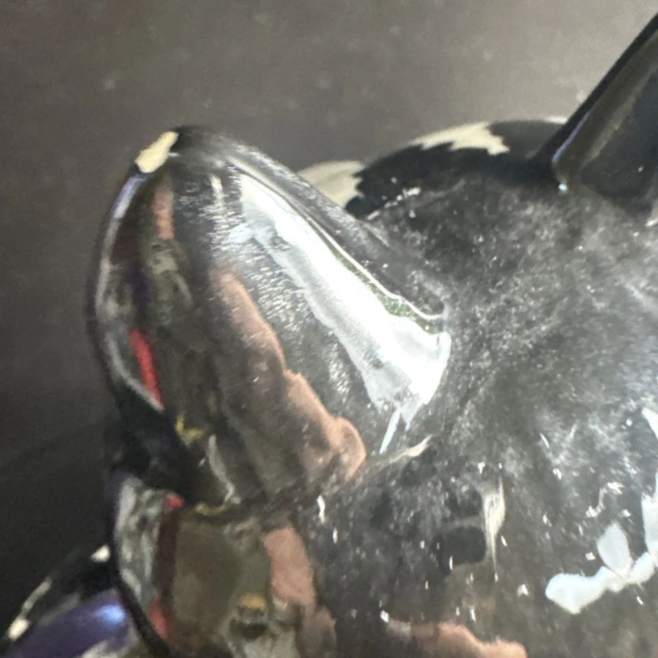 B. KLIBAN Gato atigrado en sombrero negro por SIGMA Tastesetter tarro de galletas caramelo beso Foto 4 de 4