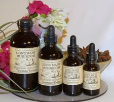 LION'S MANE Extract brain cell mood nootropic NGF skin ORGANIC FOLK TINCTURE ~