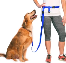 Hands Free Dog Leash, Adjustable Leash for Running, Jogging, Training and Servic