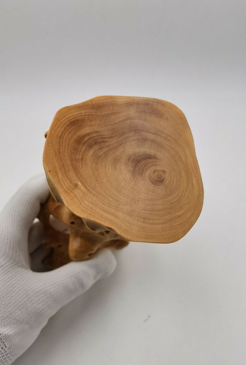 Bonsai Base Hard Wood China Boxwood Tree-Root Carved Stand Display