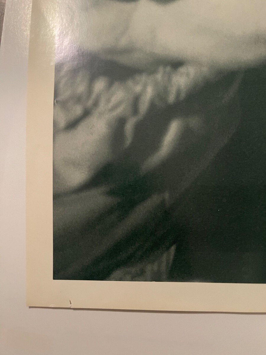 ICE CUBE, THE PREDATOR,HIP-HOP, RARE 1992 POSTER , LAST ONE