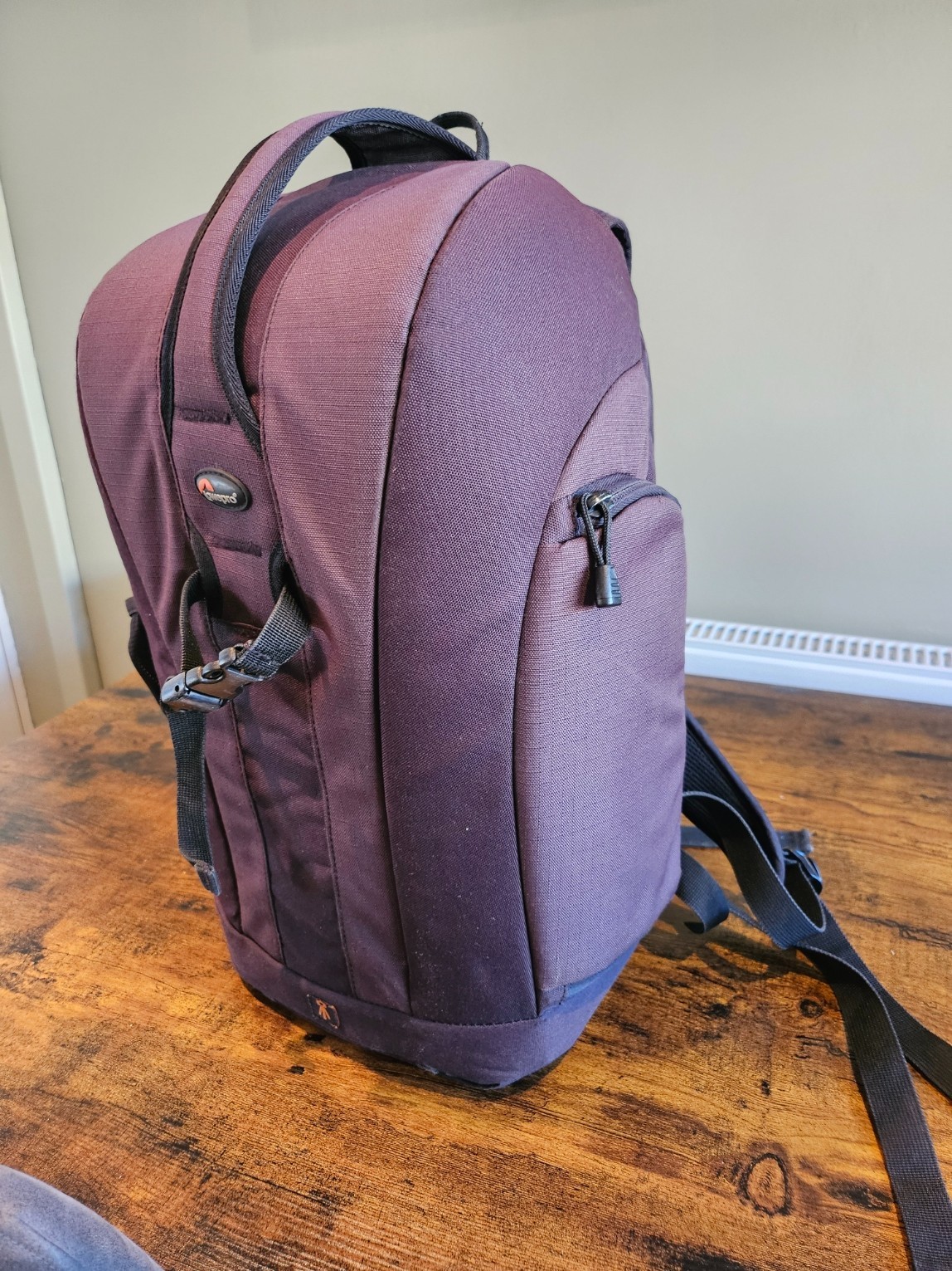 Lowepro Flipside 300 Black Camera Backpack